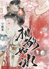 相敬如冰(重生)