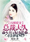 闪婚娇妻：总裁大人请离婚